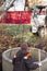 Installation of a septic well. A machine with a crane loader lowers a concrete ring into a dug hole. A worker monitors