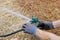 The installation and watering of lawn sprinklers by a professional technician is an essential part of landscaping