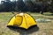 Installed tourist tent and a camping lantern in nature in the forest. Domestic tourism, active summer holidays, family adventures