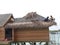 installing a roof with dried coconut leaves, in the maldives water villa project