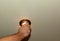 Installing a spot light, the hand inserts the lamp into the ceiling. Replacing a burned out incandescent bulb