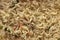 Instant noodles, scalded and brewed . Close-up texture background, top view