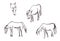 Instant sketch, horses