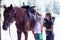 The instructor helps the girl to saddle a brown horse in the forest. Children`s equestrian camp. Summer sports camp for children.