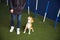 Instructor holding the puppy on a leash during a training session