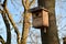 Insufficient nesting cavities in trees Placing a nest box on a suitable tree in a park. the larger cavities of the trees are cover