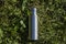 Insulated Stainless Steel Bottle on the green grass
