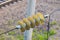 Insulator on a high-voltage power line