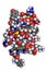 Insulin molecule