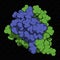 Insulin peptide hormone, 3D rendering. Important drug in treatment of diabetes. Atoms shown as spheres, colored per chain.