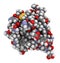 Insulin peptide hormone molecule. Used in treatment of diabetes. Atoms shown as color-coded spheres. Conventional per element