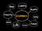 Insurance mind map flowchart, business concept