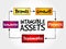 Intangible assets types