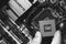 Intel CPU in male fingers on the background of the motherboard Gigabit, top view close-up, black and white photo