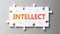 Intellect complex like a puzzle - pictured as word Intellect on a puzzle pieces to show that Intellect can be difficult and needs