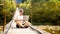 Intelligent handsome male in hat, white shirt and glasses sit with crossed legs and hold laptop. Man work outdoors with