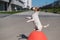 An intelligent obedient dog sits on its hind paws in a begging pose on anti parking concrete stone. Jack Russell Terrier