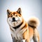 Intelligent shiba inu - ai generated image