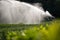 Intense agriculture corn fiekd being irrigatedwith huge amounts of water