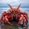 Intense Close-up: Captivating Crab With Striking Red Eyes