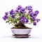 Intense Color Pansy Bonsai: Vibrant Purple And Gray Floral Art