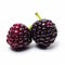 Intense Color Saturation: Two Boysenberry Fruits On White Background