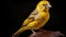 Intense Coloration And Accurate Bird Specimens: A Captivating Yellow Bird On A Wooden Item