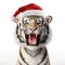 Intense Emotions: 3d Rendering Of Tiger With Santa Hat