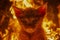 Intense Fire Background with Fierce Feline Gaze, Dramatic Orange Flames Surrounding a Solemn Kitten