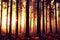 Intense flames from a massive forest fire, generative ai. Flames light up the evening as they rage thru pine forests and sage