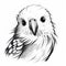 Intense Gaze: Unique Kookaburra Bird Illustration In Black And White