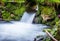 Intense green moss around waterfall