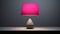Intense Light And Dark Pink Lampshade With Bold Chromaticity