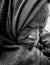 Intense monochrome close-up of elderly Indian woman\\\'s wrinkled face, eyes closed in profound reflection.