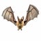 Intense Movement: Colorized Realistic Portraits Of Small Brown Bat