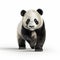 Intense Movement: Photorealistic 3d Render Of A Panda Cub On White Background