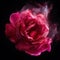 An intense pink and magenta photo of a rose petal in midair. Trendy color of 2023 Viva Magenta.. AI generation
