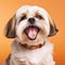 Intense Portraiture: Smiling Dog Barking On Orange Background