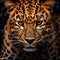 Intense Stare Captivating Leopard In Uhd Image