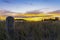 Intense sunrise beyond dune restoration planting at Mount Maunganui