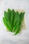 Intensely fragrant fresh green wild garlic herbs decorated on rustic white wood plate