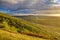 Intensive green forests and fields in sunset time, Austria