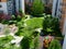 Intensive green roof court yard of condominium building