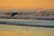 Intentionally blurry background image - oil painting effect. Beautiful seascape at sunset and a surfer entering the sea.