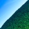 Intentionally crooked aerial view of a dense coniferous forest with an abstract and surreal effect