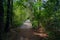 Intercoastal Waterway, South Carolina