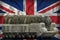 Intercontinental ballistic missile with city camouflage on the United Kingdom UK national flag background. 3d Illustration