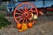 Intercourse, PA: Wagon Wheel with Pumpkins