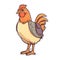 Interest Chicken Sticker On Isolated Tansparent Background, Png, Logo. Generative AI