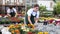 Interested young gardening shop salesgirl arranging pots with ornamental cineraria maritima with attractive silver